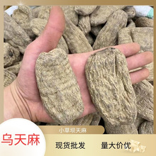 17头乌天麻昭通云南昭通小草坝天麻散装整个天麻干货现货批发