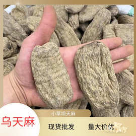 17头乌天麻昭通云南昭通小草坝天麻散装整个天麻干货现货批发