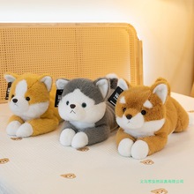 ſ���Ȯ�»���ʿ�湫��Ů�����Д[������ż���������նY��������