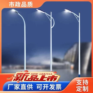 led市电路灯8/10/12米单臂高低臂高杆路灯市政道路照明户外路灯杆