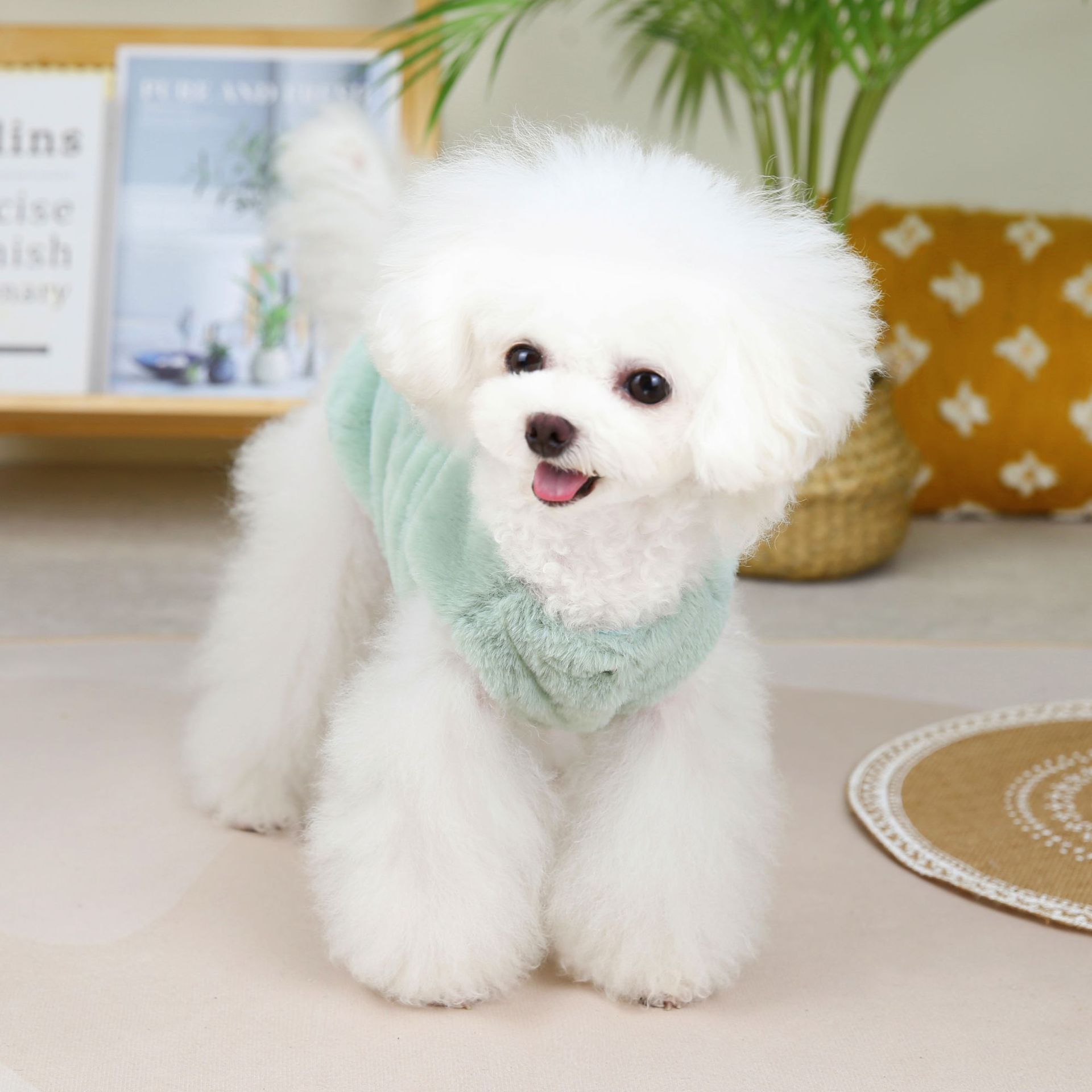 2022北极熊绒马甲