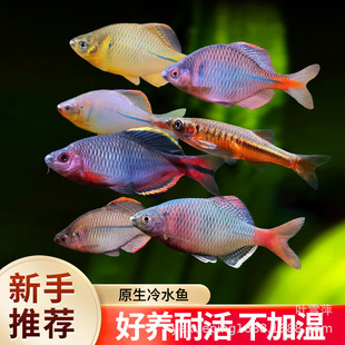 ���Q�~���B��ˮ�^�p�~���w�߲���Ƥ����ԭ���~��ˮ���wС��Ⱥ���~