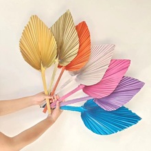 ���ز�ɫ�����ؙ��~�ѿ��ɻ���Y�b������~�Ҿ��b����l�羳��؛