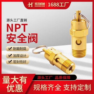 NPT�ݼy�Չ��C��ȫ�y2����ʽȫ�~й���y�����C��Ï���ʽ�Ś��y