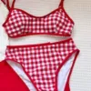 Separate red grid bikini