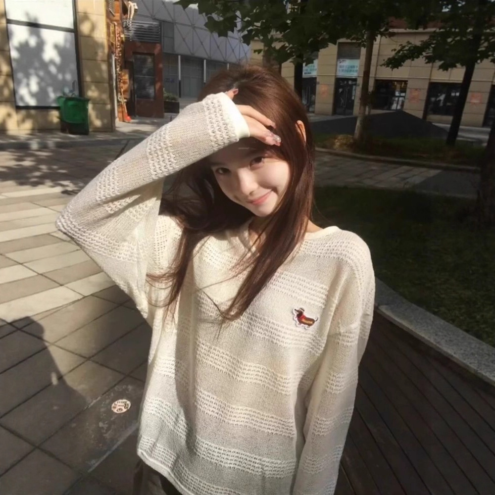 Dachshund Three-Dimensional Decorative Hollow Long-Sleeved Knitwear for Women Autum New Loose Slimming Look Lazy Style Sun Protection Blouse