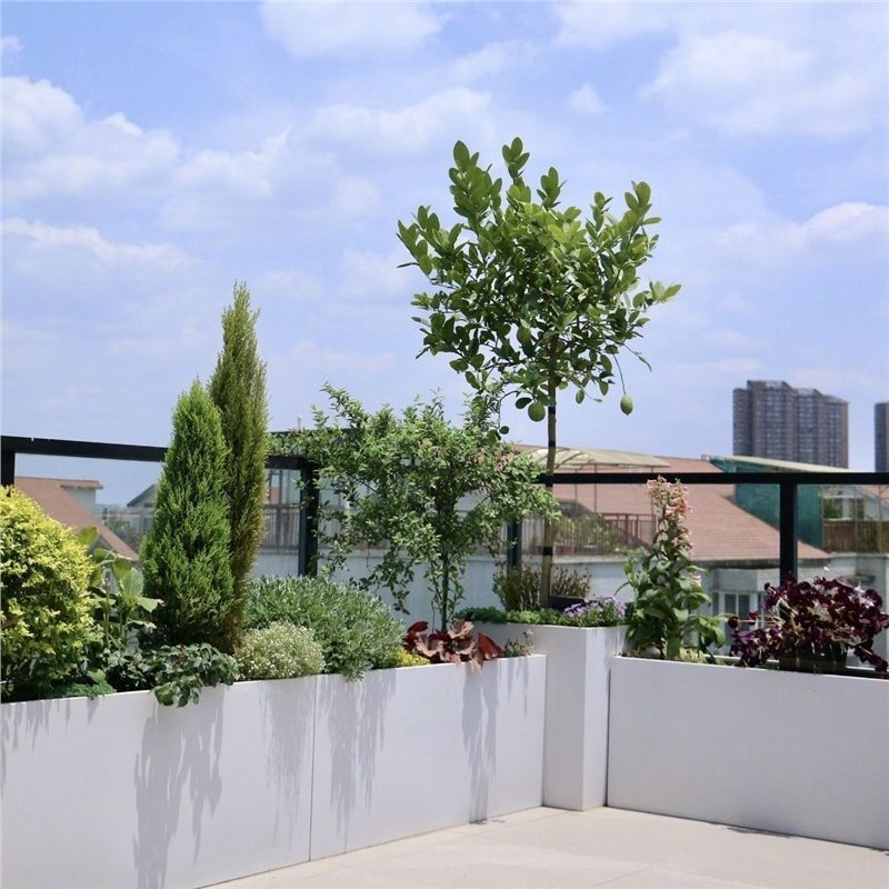 Outdoor wrought iron and stainless steel flower boxes, balcony and patio garden metal planters, ready-made garden sets, and partition flower boxes