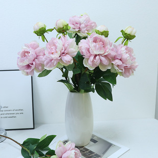 2�^�����P��ĵ����ș�ٻ��Ҿӻ�c�b[���߼��з��滨��Ʒ���l