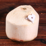 Производитель оптом пластиковый кокосовый открыт