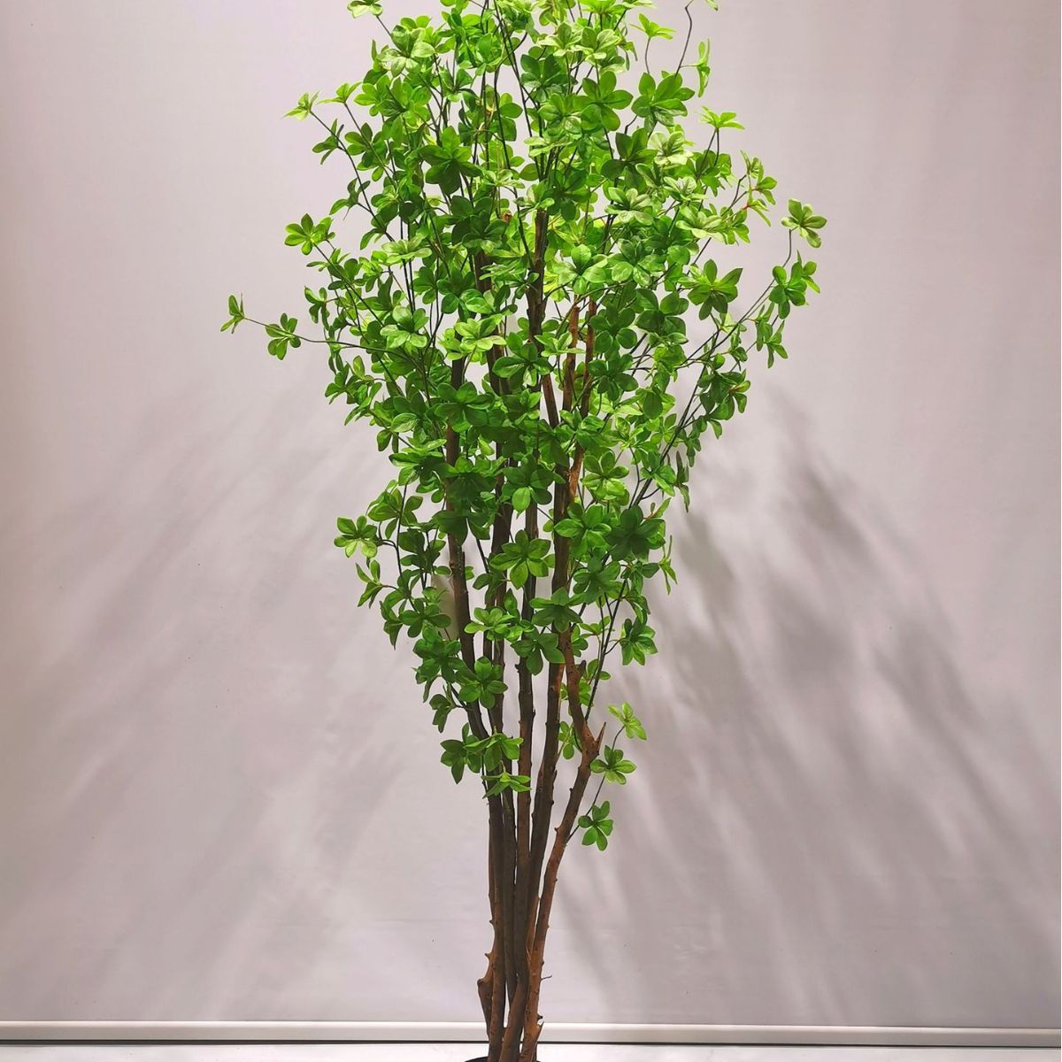 Descuento personalizado planta verde artificial flor artificial tortuga árbol trasero roble árbol de hierro viaje hoja de plátano Banyan phoenix cola bambú phoenix cola girasol