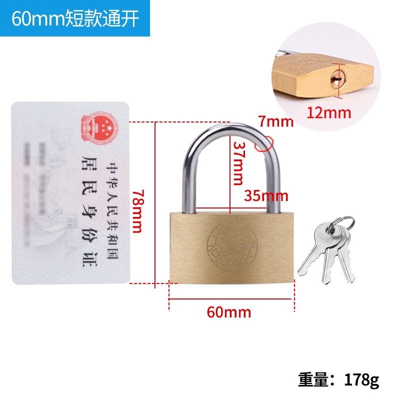 地球铜挂锁 小锁头 铜锁 小锁头 箱锁 柜门锁20 25 30 40 50 60mm|undefined