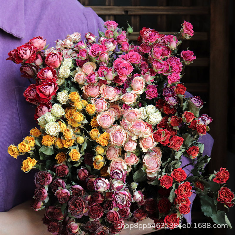 Multi-head Rose Bubble Rose Dried Flower Rose Bouquet Yunnan Dried Flower Glue Drop Flower Photo Frame Flower Accessories Multi-head Rose Bubble Rose Dried Flower Rose Bouquet Yunnan Dried Flower Glue Drop Flower Photo Frame Flower Accessories