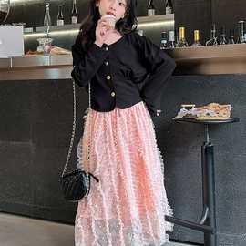 纱裙新款两件套公主裙时髦春秋女大童春装女孩套装裙洋气2024韩版