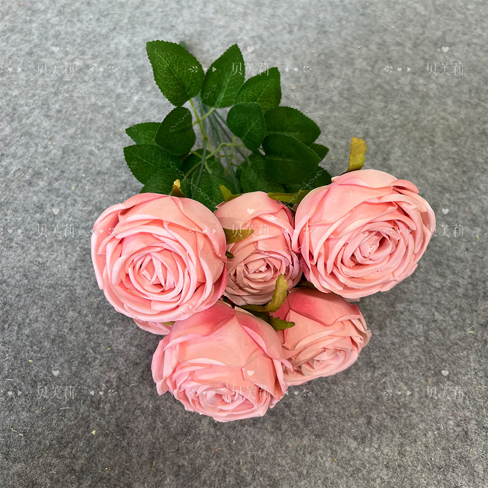 7 프린세스 로즈