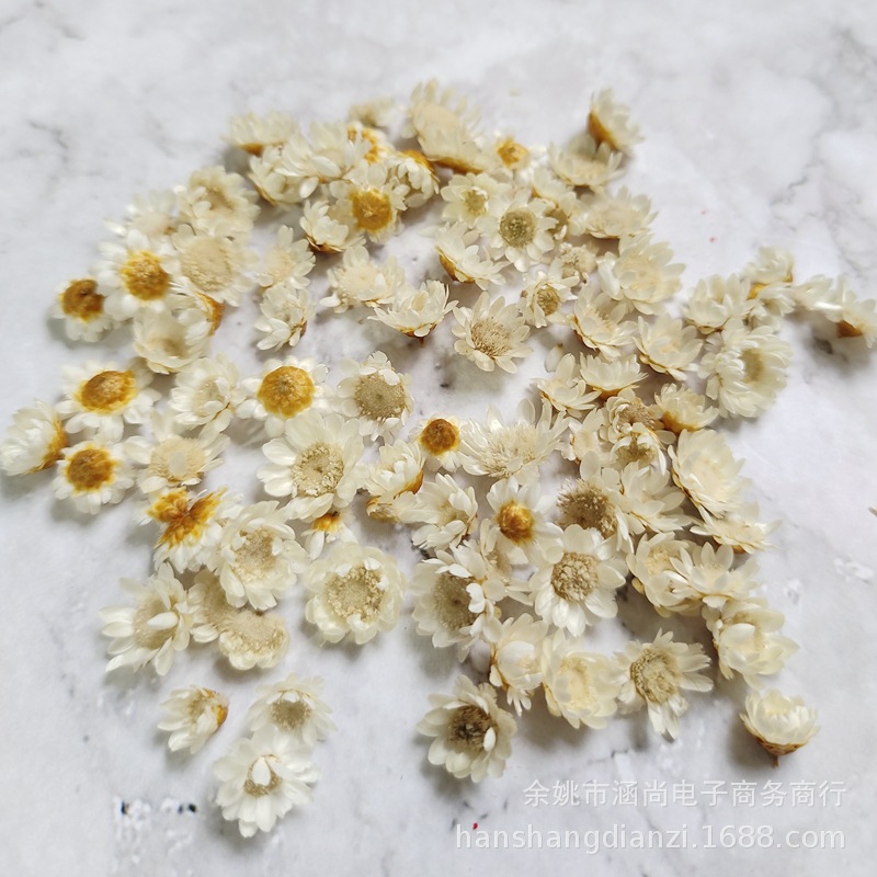 Cabeza de flor de estrella brasileña sin varilla flor seca diy mini margarita cristal epoxi relleno decorativo cabeza de flor seca
