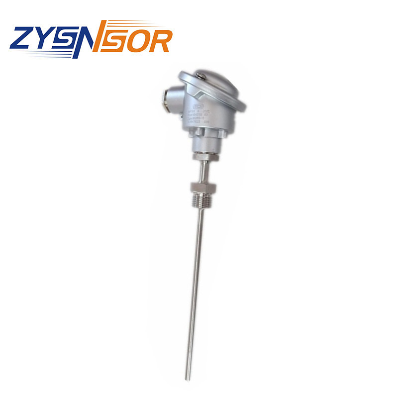 德国JUMO热电阻用于食品和制药行业902810/13 TN48476323,0-200度