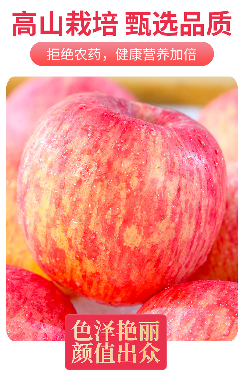 红富士苹果详情_05
