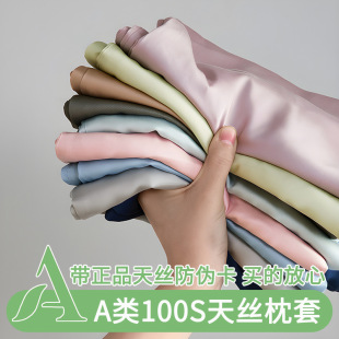 100S Lanjing Tencel Pillowcase Pair Summer Ice Silk Pillowcase Single Solid Color Pillowcase Single Inner Pillowcase