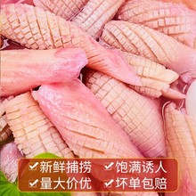 新鲜鱿鱼卷冷冻鱿鱼花火??食材商用墨鱼卷5斤装海鲜鱿鱼鲜活冷