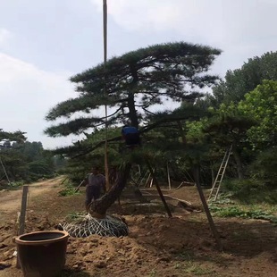 ���� �������� ���ͺ��� �S��ֱ�� �����е���G�����^��