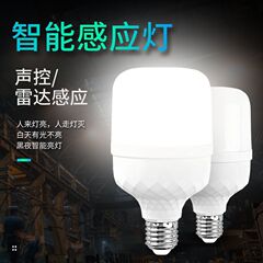 LED音声制御、音と光の制御、人体レーダー感知電球、赤外線スマート廊下電球