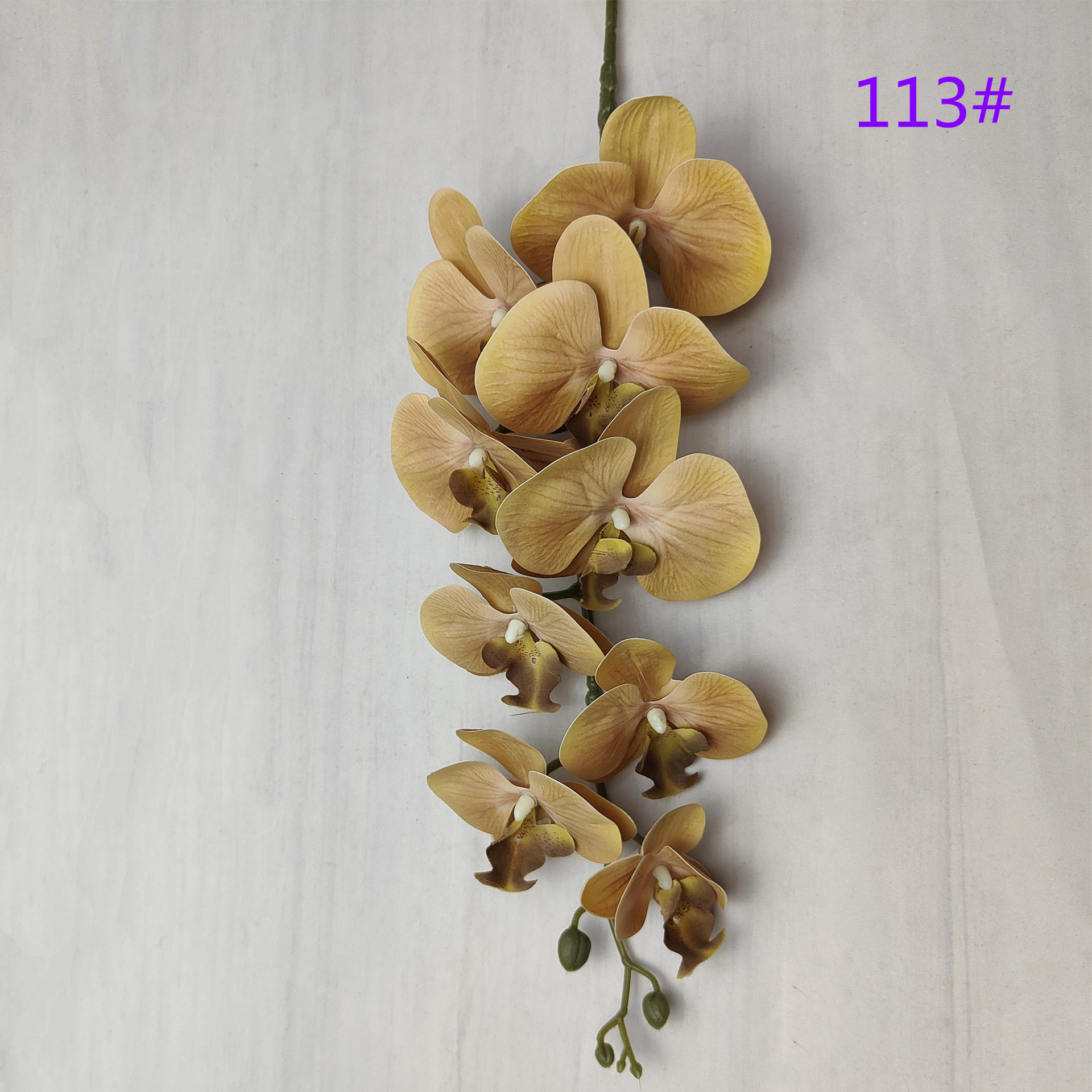 IMG20230510132614_副本