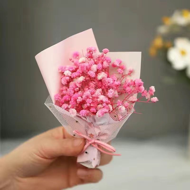 핑크 스타 미니