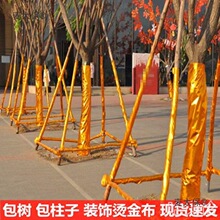 ��c�����������ӽ�𲼠C���ϰ�����z�����b����ץ��̫��