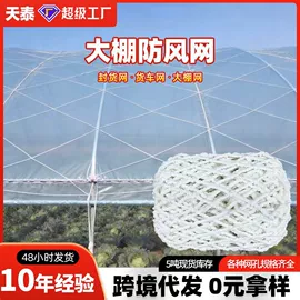 其他安全网;攀爬网;安全平网