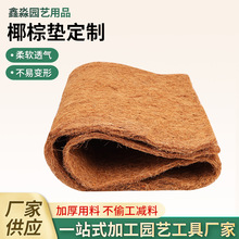 �S�ҹ������Ќ�����B��Ҭ�؉|�� ֲ�ﱣ��Ҭ�؉|