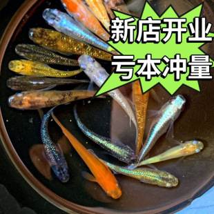 �^�����F�^�p�~ħ���~��ˮ��ˮС���\�����~���������B�׻�