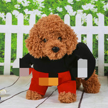 HONGHONGPETվ׃b ̩Ϲ·ﶬbС·