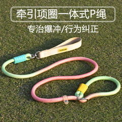 防爆冲防缠绕遛狗绳狗狗牵引p链狗绳P绳训犬中小型犬宠物用品