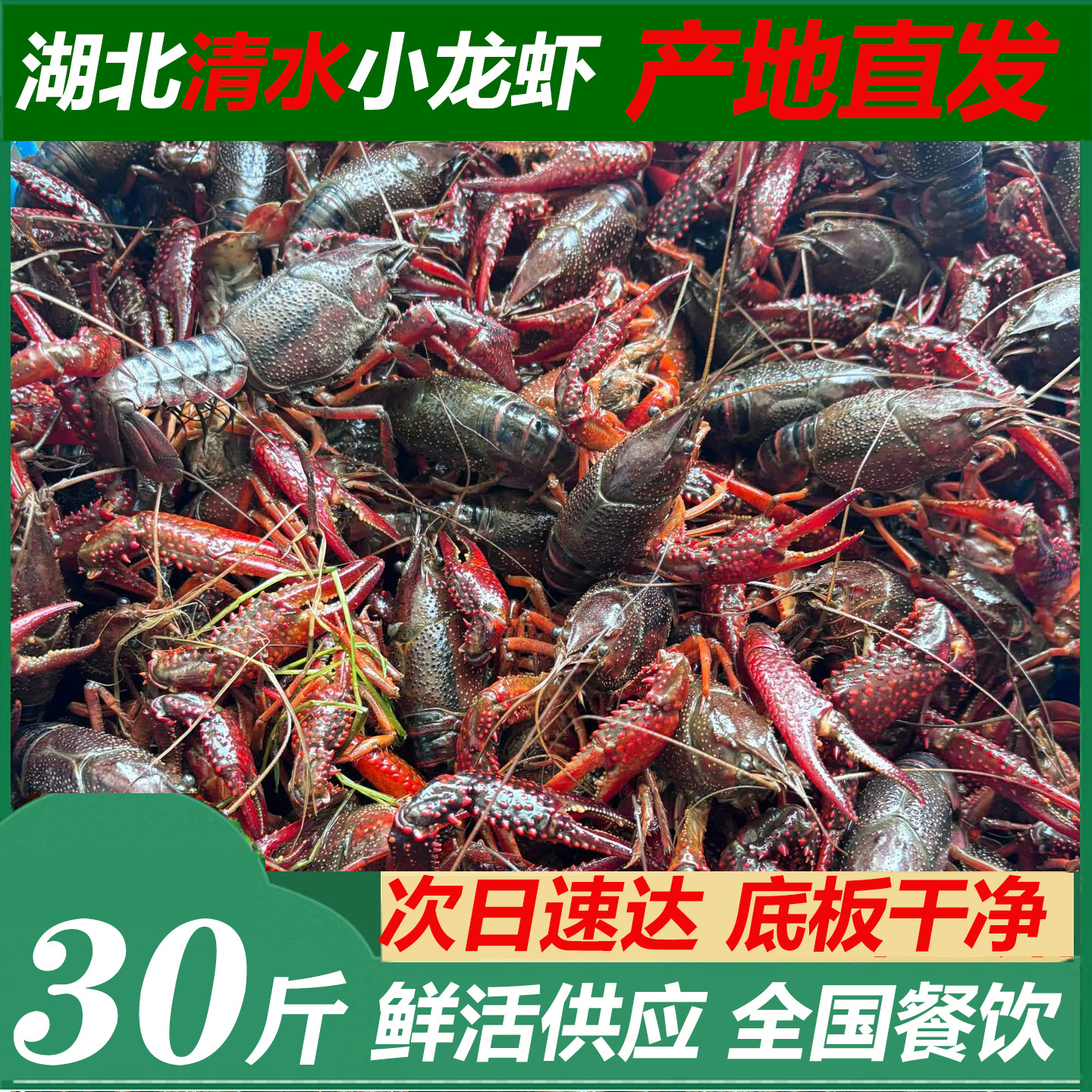 湖北潜江清水小龙虾鲜活小龙虾批发商用新鲜活的龙虾大虾批发生鲜