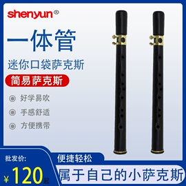 吹奏类乐器;乐器配件;其他乐器