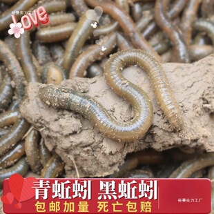 ������l������������򾴹��~�D������������S�X����