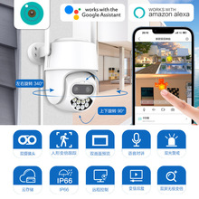 pĿz^4KoD 8׃ˮC wifih̔z^