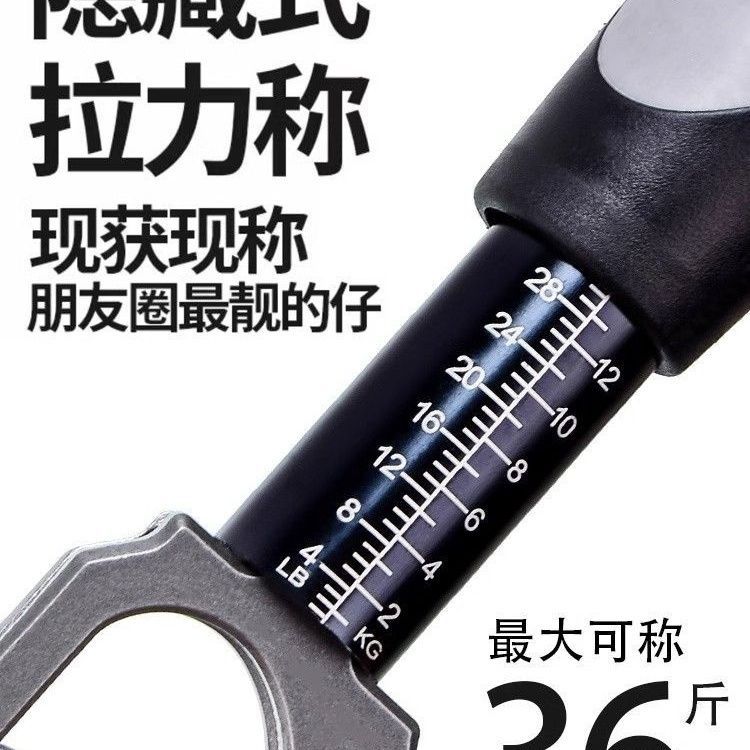 Control de pescado con pesaje y control de peso de gran cosa Luya aleación de aluminio multifuncional pinza de pescado ajuste de pesca