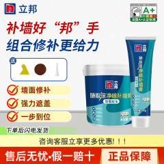 Nippon Paint 壁補修ペースト 防カビ・耐水・防湿 内壁補修 ホワイト 室内壁パテペースト 家庭用リフォーム補修