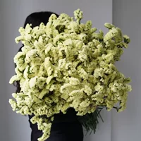 Forget-Me-Not цветы оптом Юньнань Куньмин с цветами с травой в ларьке цветочный магазин Свадебная групповая покупка поставка