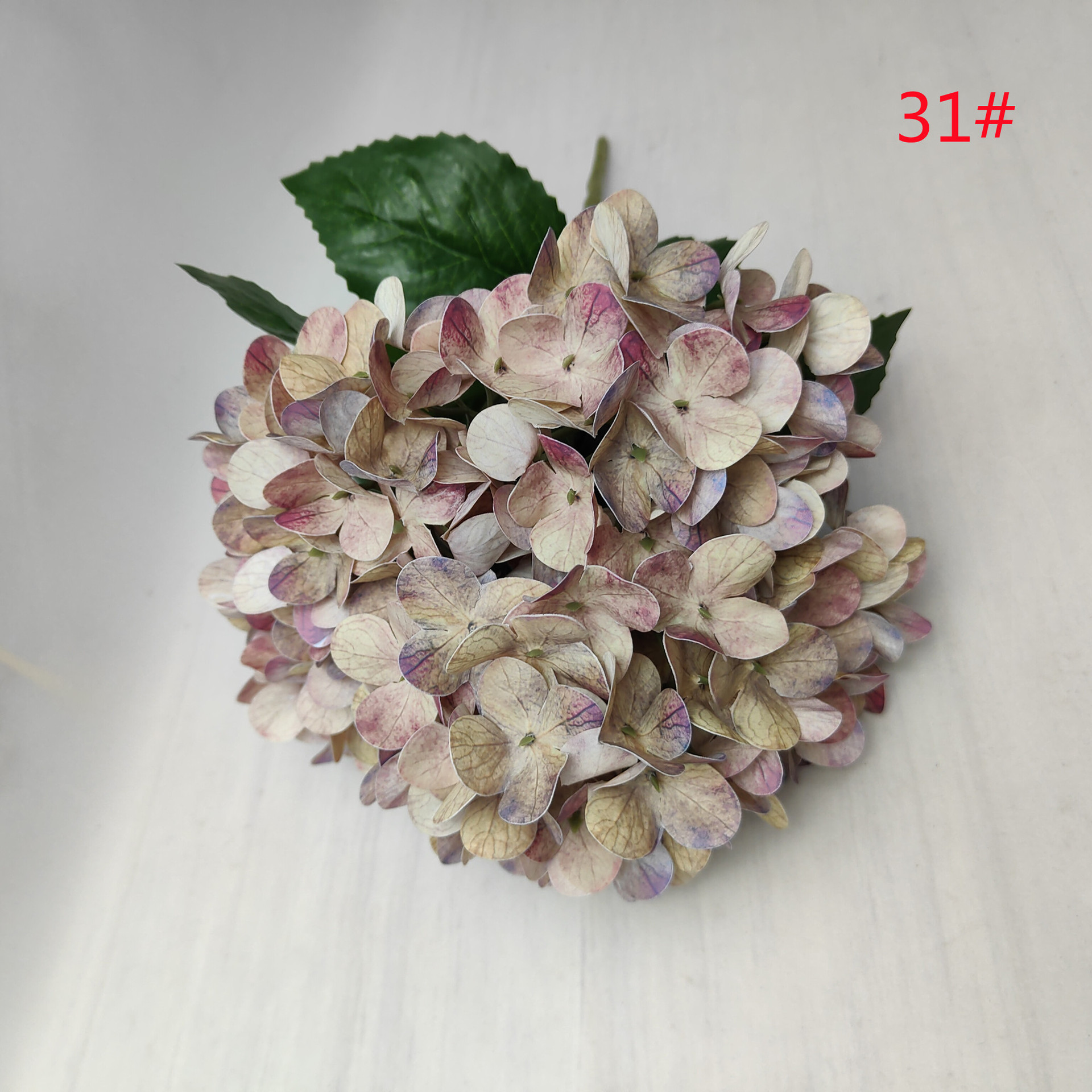 31#
