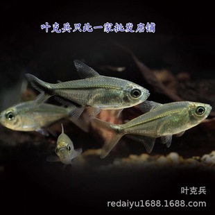 �Ꭷ�^�p�~���l��β���~Ⱥ���~�����~�ݸ��~