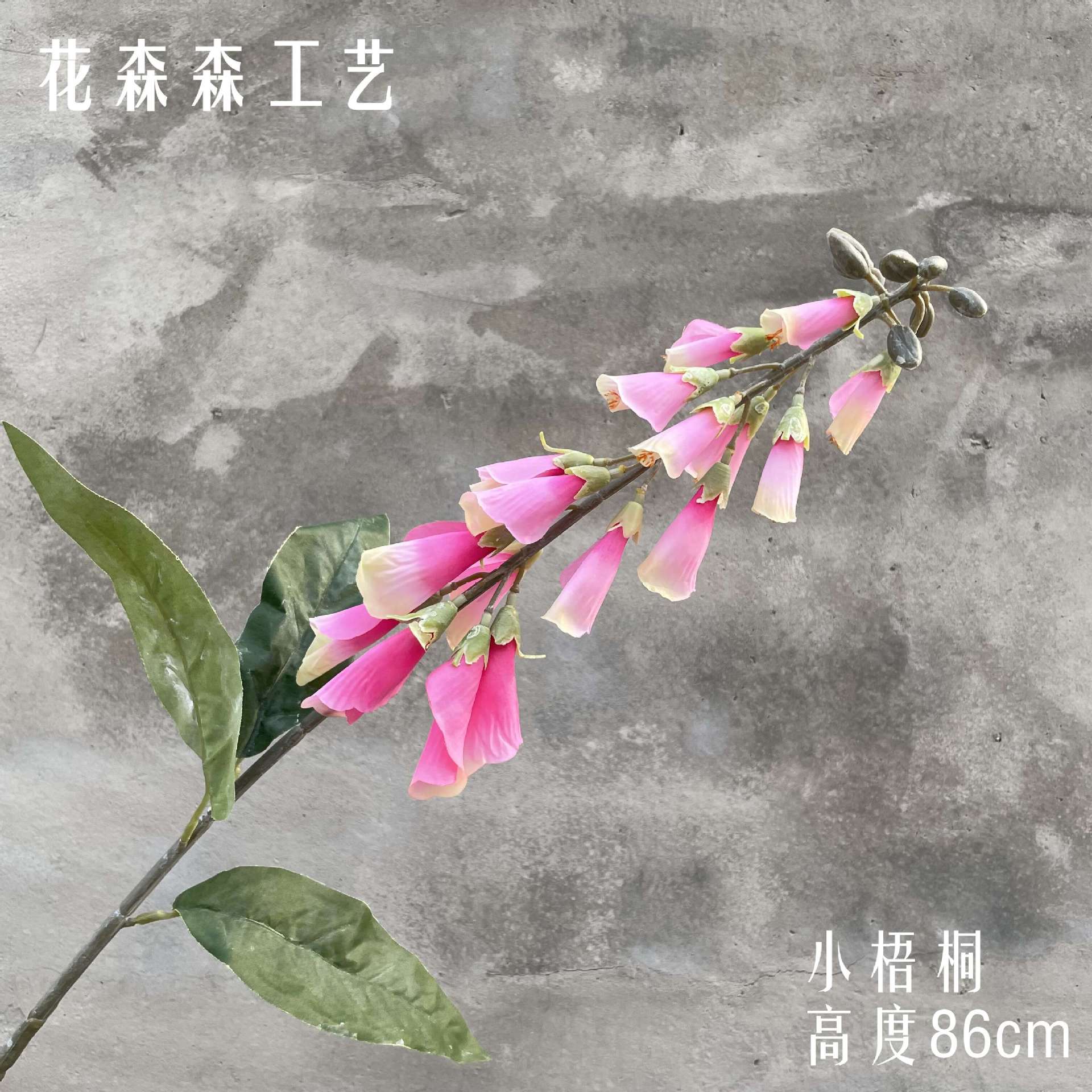 리틀 시카 모어 160823