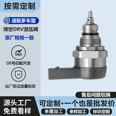 Common Rail Fuel Valve 13537787166 13537788685 13537805733 0281002481