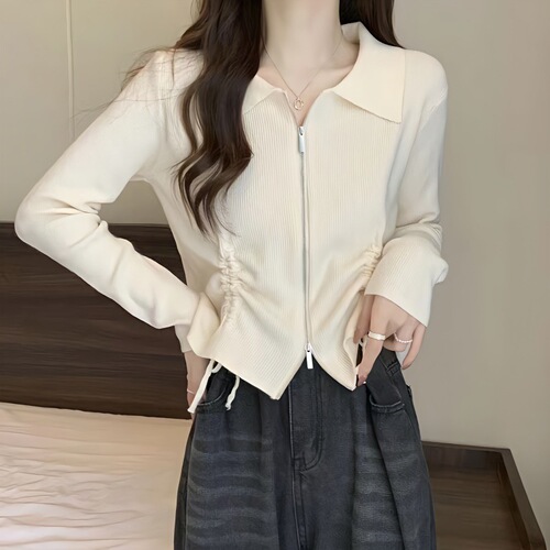 Early Spring Zipper Cord Knitted Sweater for Women 2025 Spring and Autumn New Design Sensory Slim Short Sleeve Cardigan Top