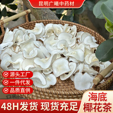 正宗海底椰片雪梨花茶干货批发椰子奶香黄海椰皇椰肉无熏硫无染色