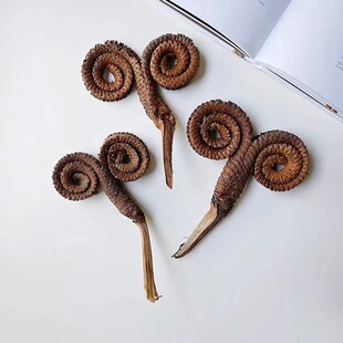 ��Ȼֲ��ɹ������ľ�����ֹ�diy�ɻ���ǭh�ɘ�֦�b���