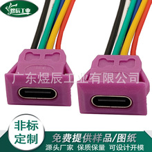 TYPE-C防水母座带锁外螺牙type-c2P母座USB C带螺母卡扣锁板滑板