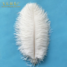 �S��15-20cm�r�Bë�b�ɫ��ë��cDIY�^�����Ʒ��ë����