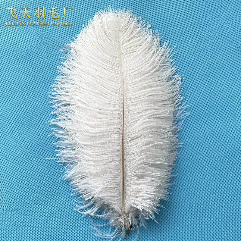 Factory 15-20cm ostrich feather decoration white feather wedding DIY headdress cake insert jewelry feather material